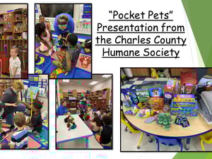 Pocket Pets- Humane Society
